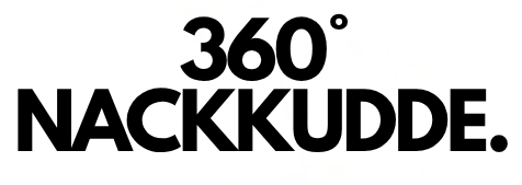 360-Nackkudde